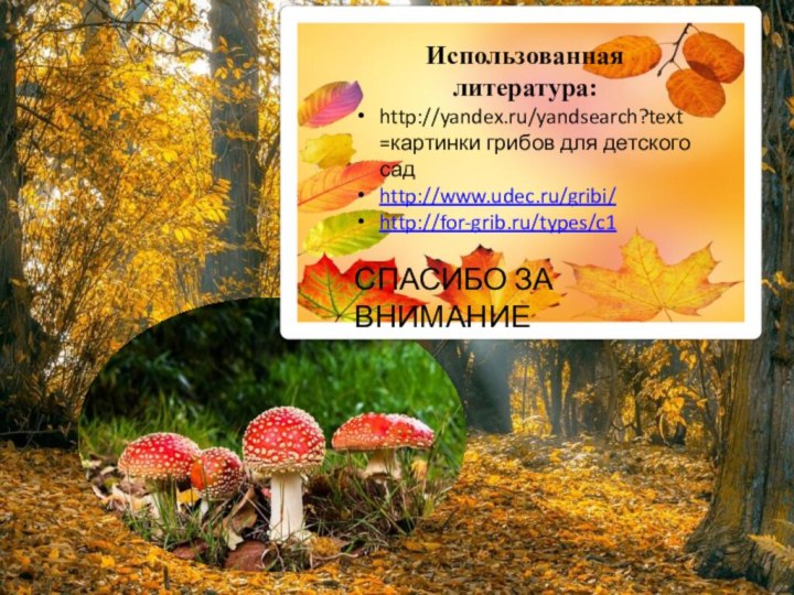 Использованная литература:http://yandex.ru/yandsearch?text=картинки грибов для детского садhttp://www.udec.ru/gribi/http://for-grib.ru/types/c1СПАСИБО ЗА ВНИМАНИЕ