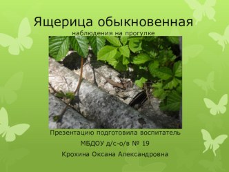 Наблюдение на прогулке за ящерицей обыкновенной. презентация по окружающему миру