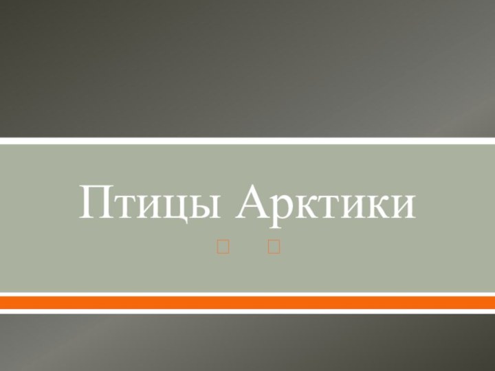 Птицы Арктики