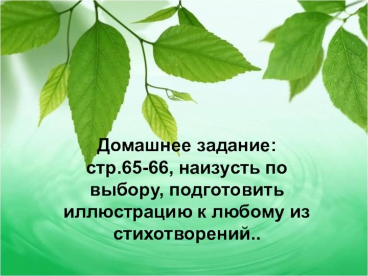 Домашнее задание:стр.65-66, наизусть по выбору, подготовить иллюстрацию к любому из стихотворений..