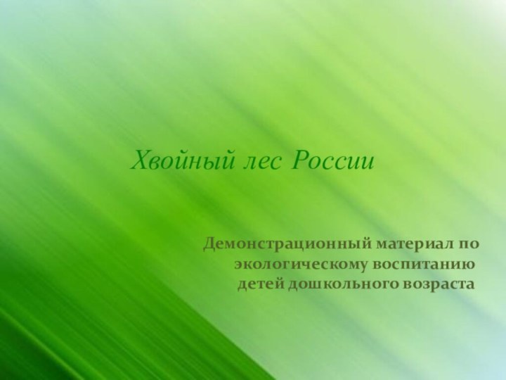 Хвойный лес РоссииДемонстрационный материал по экологическому воспитанию детей дошкольного возраста