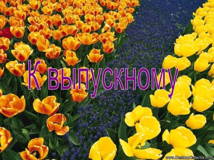 К выпускному