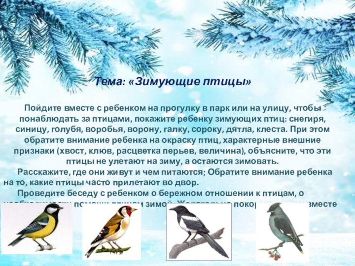 Тема: «Зимующие птицы» Пойдите вместе с ребенком на прогулку в парк или