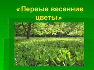 Конспект логопедического занятия по теме Первые Весенние цветы план-конспект занятия по развитию речи (старшая, подготовительная группа)