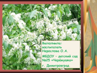 Закаливание, как средство оздоровительной работы в детском саду.. презентация к занятию (старшая группа) по теме