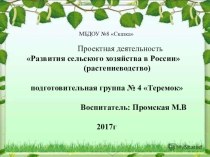 Проектная деятельность Развития растениеводства в России методическая разработка (подготовительная группа)