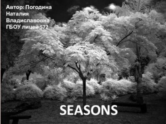 Презентация Seasons презентация к уроку по иностранному языку (2 класс)