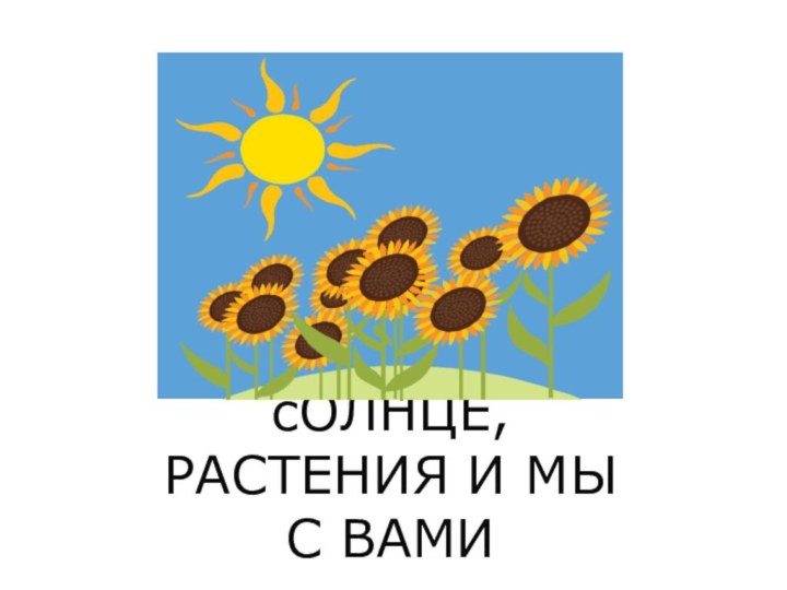 сОЛНЦЕ, РАСТЕНИЯ И МЫ С ВАМИ