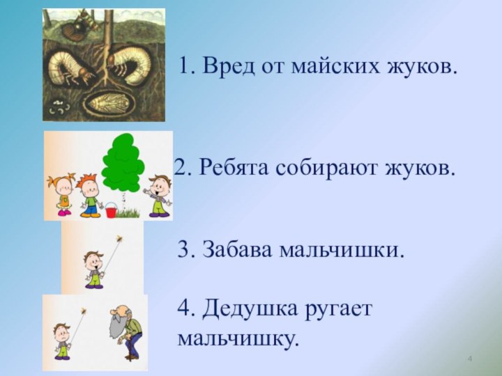 4. Дедушка ругает мальчишку.1. Вред от майских жуков.2. Ребята собирают жуков.3. Забава мальчишки.