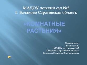 Презентация  Комнатные растения презентация к уроку по окружающему миру (старшая группа)