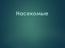 Насекомые презентация к уроку по окружающему миру (средняя группа)