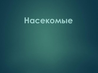 Насекомые презентация к уроку по окружающему миру (средняя группа)