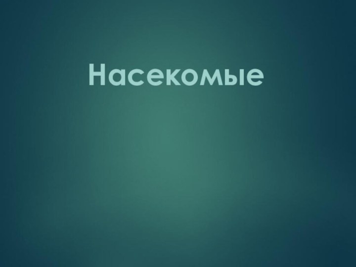 Насекомые