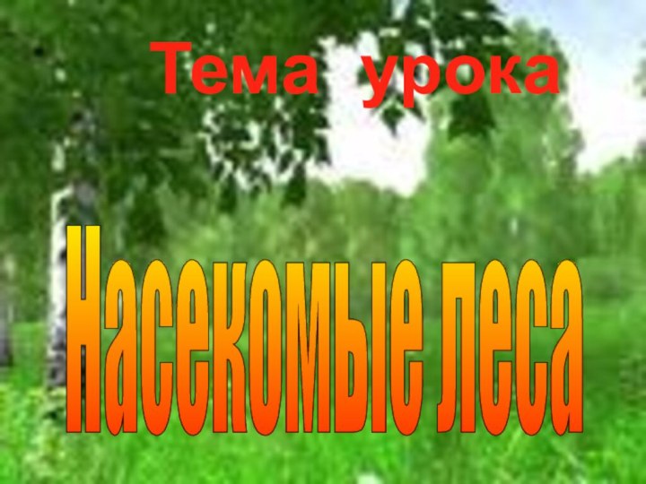 Тема урокаНасекомые леса