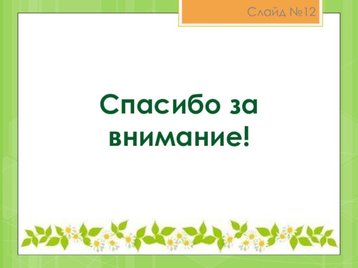 Спасибо за внимание!Слайд №12