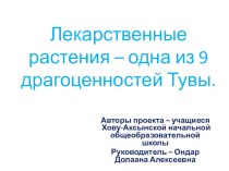 проект Лекарственные растения - одна из 9 драгоценностей Тувы творческая работа учащихся по теме