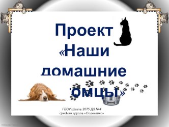 Проект Наши домашние питомцы проект (средняя группа)
