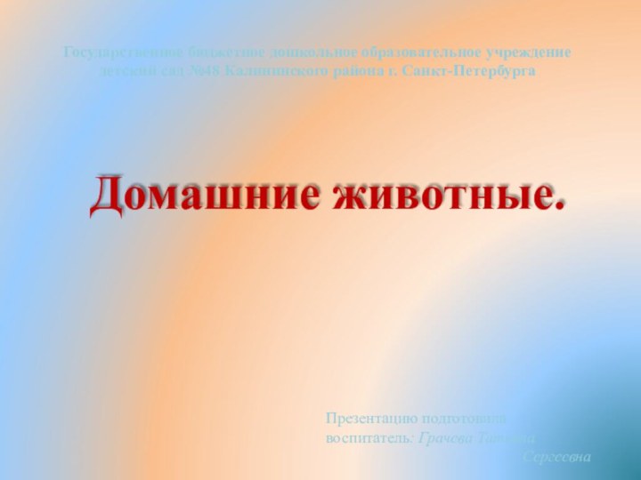 Государственное бюджетное дошкольное образовательное учреждение  детский сад №48 Калининского района г.