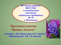 Презентация проекта Цветок дождей презентация к уроку по окружающему миру (1 класс) по теме