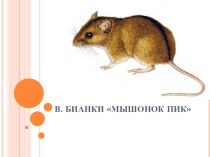 Учебно-методический комплект по литературному чтению В. Бианки Мышонок Пик учебно-методический материал по чтению (3 класс)