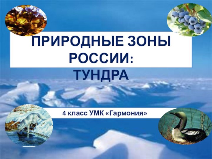 ПРИРОДНЫЕ ЗОНЫ РОССИИ:ТУНДРА4 класс УМК «Гармония»