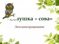 Совушка - сова презентация к уроку по конструированию, ручному труду (средняя, старшая группа) по теме