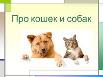 Про кошек и собак. презентация к уроку