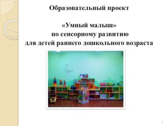Умный малыш проект (младшая группа)