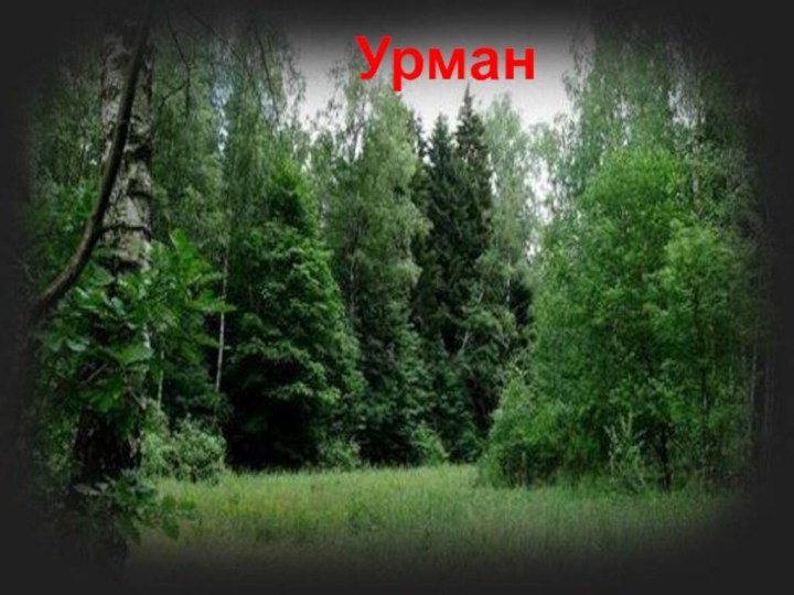 Урман