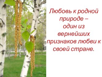 Урок русского языка в 3 классе по учебнику Поляковой Правописание окончаний имен существительных 1-го склонения в родительном, дательном и предложном падежах план-конспект урока русского языка (3 класс) по теме