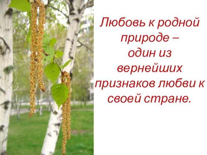 Любовь к родной природе –  один из вернейших признаков любви к своей стране.  