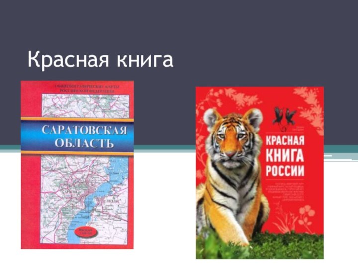 Красная книга