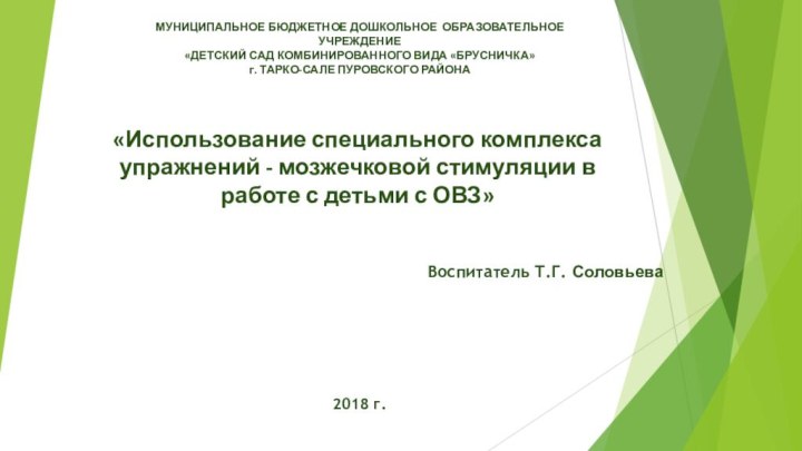 «Использование специального комплекса упражнений - мозжечковой стимуляции в работе с детьми с