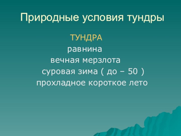 Природные условия тундры