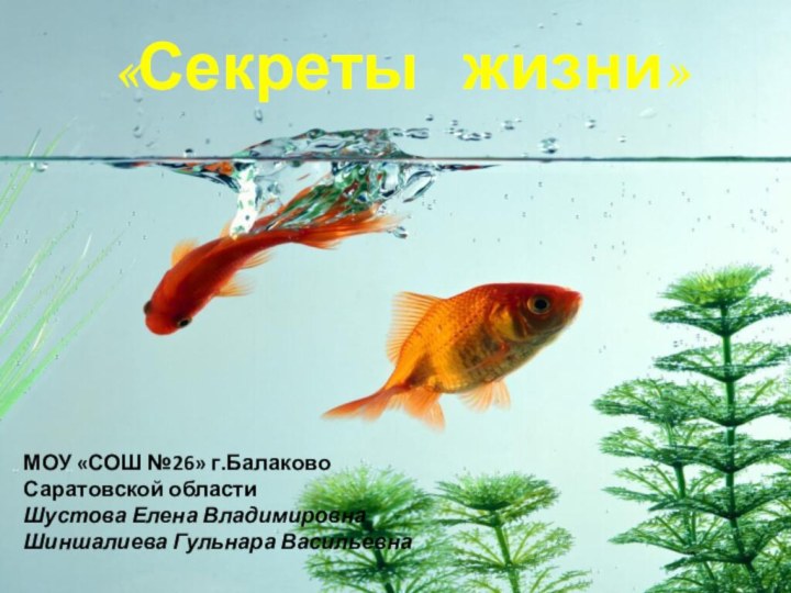 «Секреты  жизни»МОУ «СОШ №26» г.БалаковоСаратовской областиШустова Елена ВладимировнаШиншалиева Гульнара Васильевна