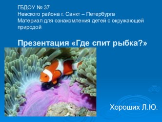 презентация Где спит рыбка? методическая разработка (средняя группа)