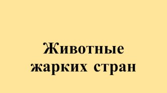 Презентация Животные жарких стран презентация к уроку по окружающему миру (средняя группа)