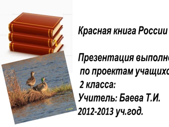 Красная книга РоссииПрезентация выполнена по проектам учащихся 2 класса: Учитель: Баева Т.И.2012-2013 уч.год.