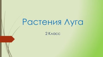 Растения Луга 2 класс презентация к уроку по окружающему миру (2 класс)