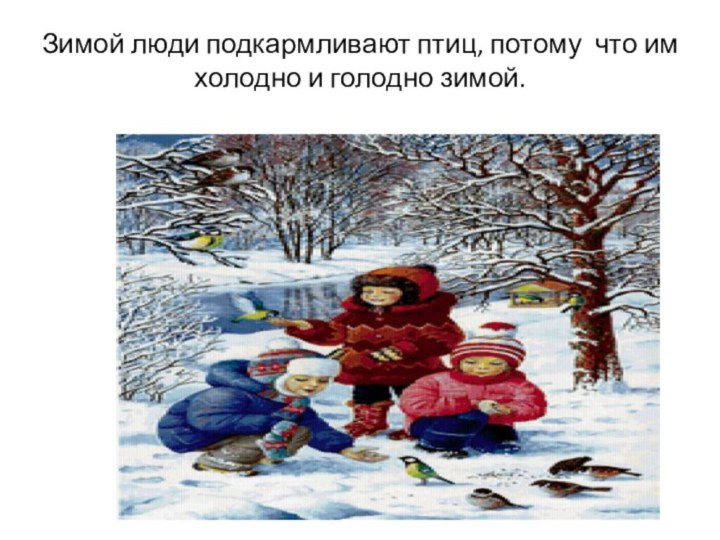 Зимой люди подкармливают птиц, потому что им холодно и голодно зимой.