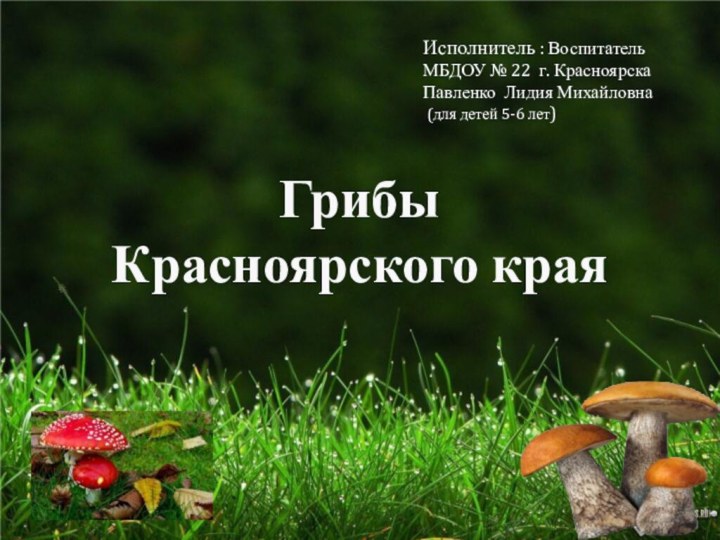 Грибы Красноярского краяИсполнитель : Воспитатель МБДОУ № 22 г. Красноярска Павленко Лидия