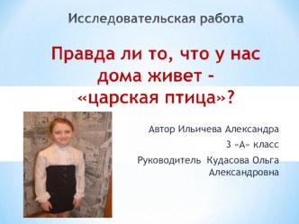 Цесарка - птица царская презентация к уроку (3 класс)