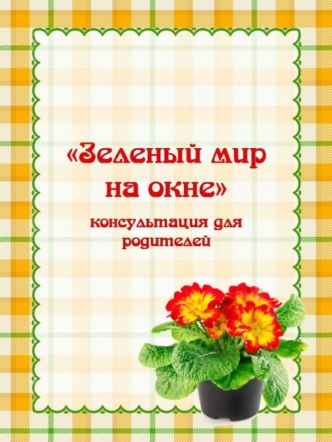 зелёный мир на окне консультация (подготовительная группа)