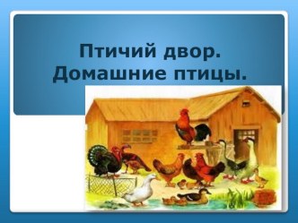 Презентация Домашние птицы презентация к уроку (средняя группа)