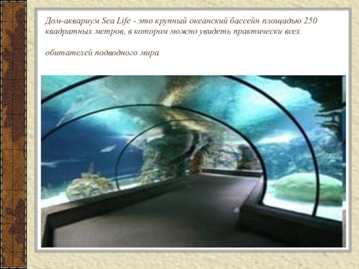 Дом-аквариум Sea Life - это крупный океанский бассейн площадью 250 квадратных