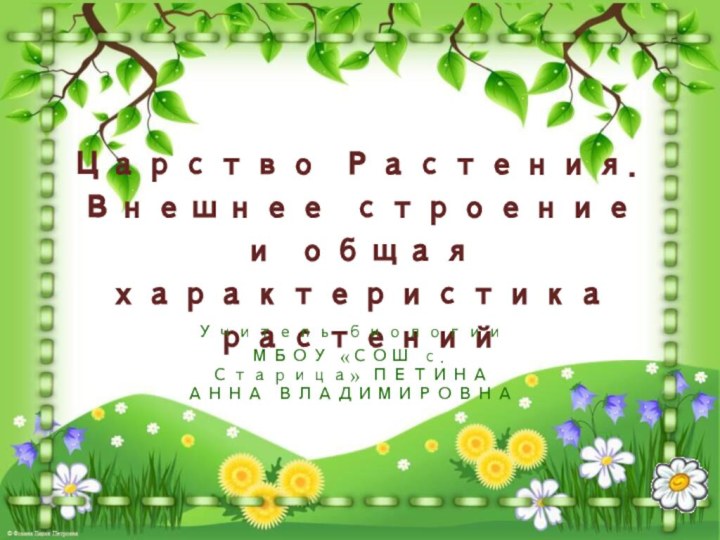 Царство Растения. Внешнее строение и общая характеристика растенийУчитель биологии МБОУ «СОШ с. Старица» ПЕТИНА АННА ВЛАДИМИРОВНА