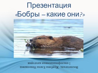 Презентация Бобры - какие они? презентация к занятию (окружающий мир, старшая группа)