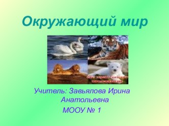 Урок окружающего мира. 3 класс. Охрана животных. план-конспект урока по окружающему миру (3 класс)