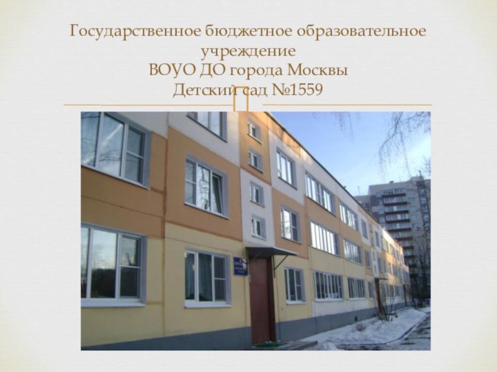 Государственное бюджетное образовательное учреждение ВОУО ДО города Москвы Детский сад №1559