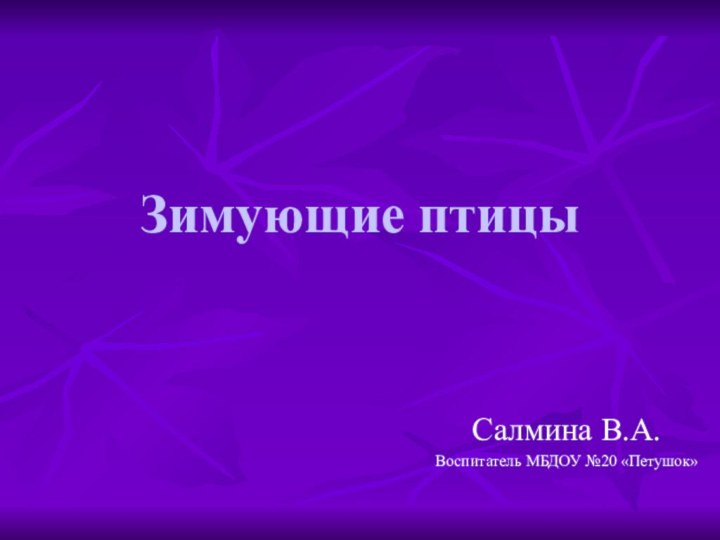 Зимующие птицыСалмина В.А.Воспитатель МБДОУ №20 «Петушок»